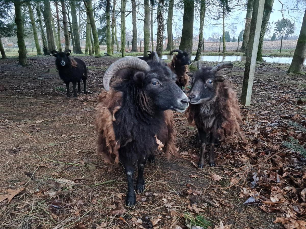 Parkhoeve Glamping Ham エクステリア 写真